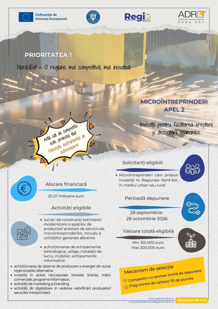 Sprijin pentru antreprenorii locali: sesiune de informare pentru modernizarea microîntreprinderilor